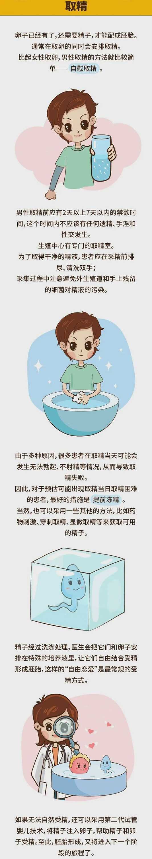 武平县借卵和自卵试管成功率_做试管婴儿促排的阶段,试管婴儿中的夜针，取卵