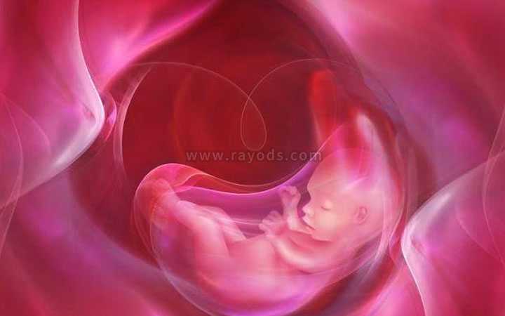 新青区借卵生殖中心_平谷试管婴儿移植后几天可以验孕?验孕成功怎么保胎